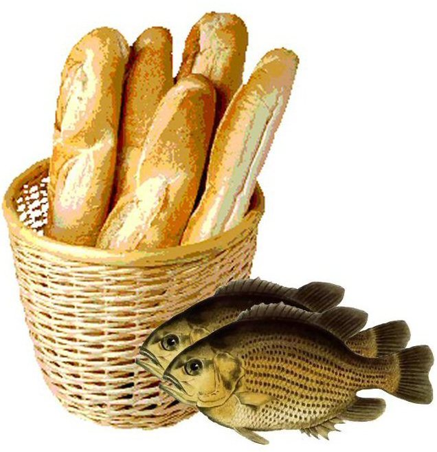 5 br&oslash;d og 2 fisk