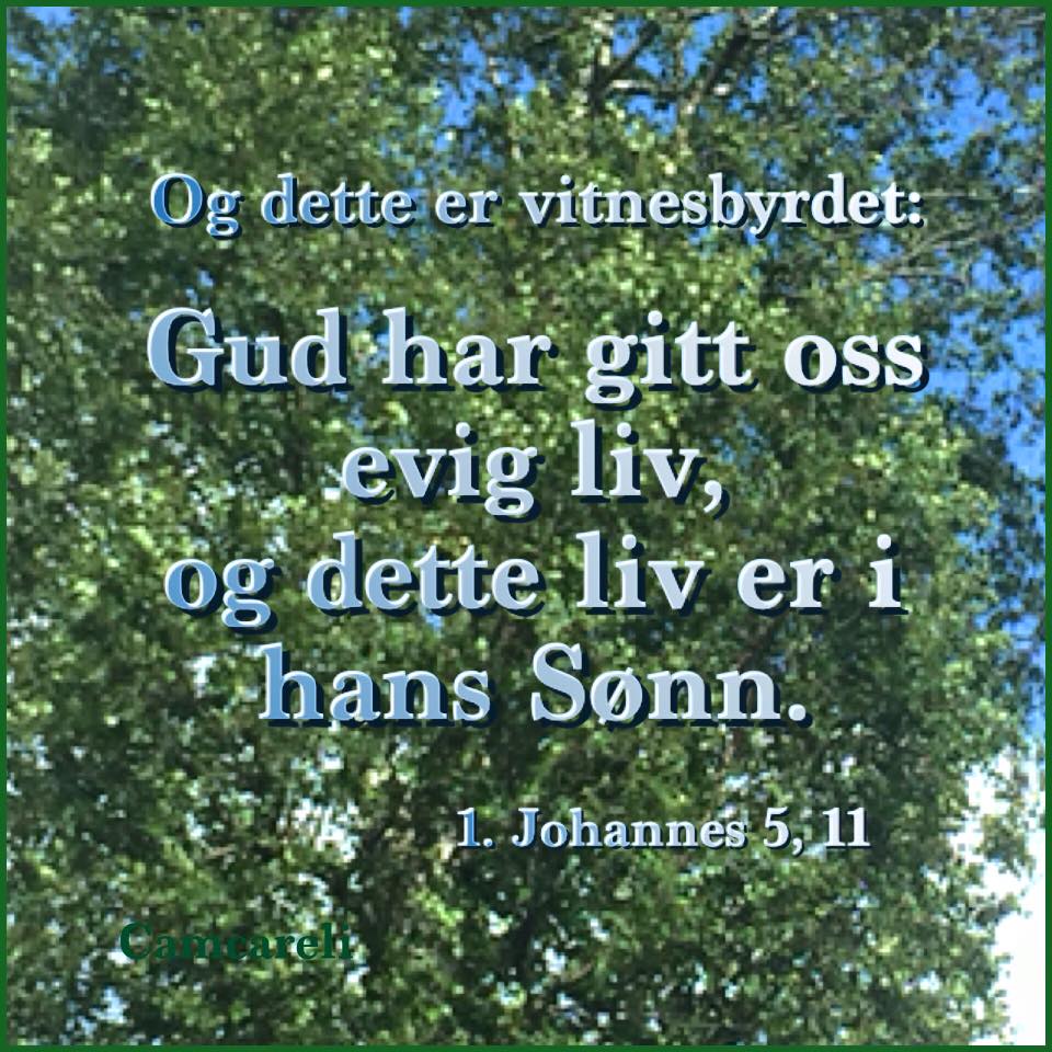 Evig liv i Ham