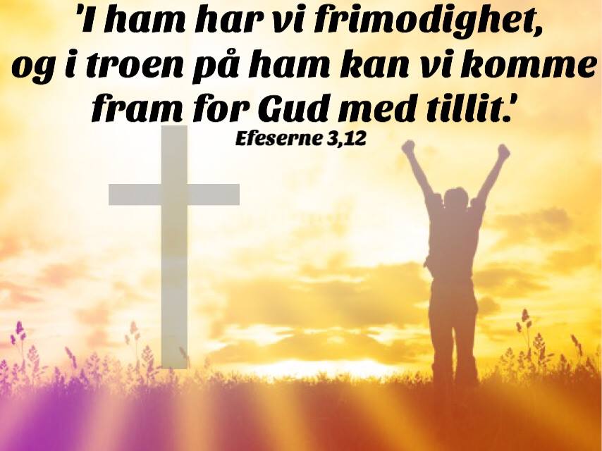 Frimodig tillit