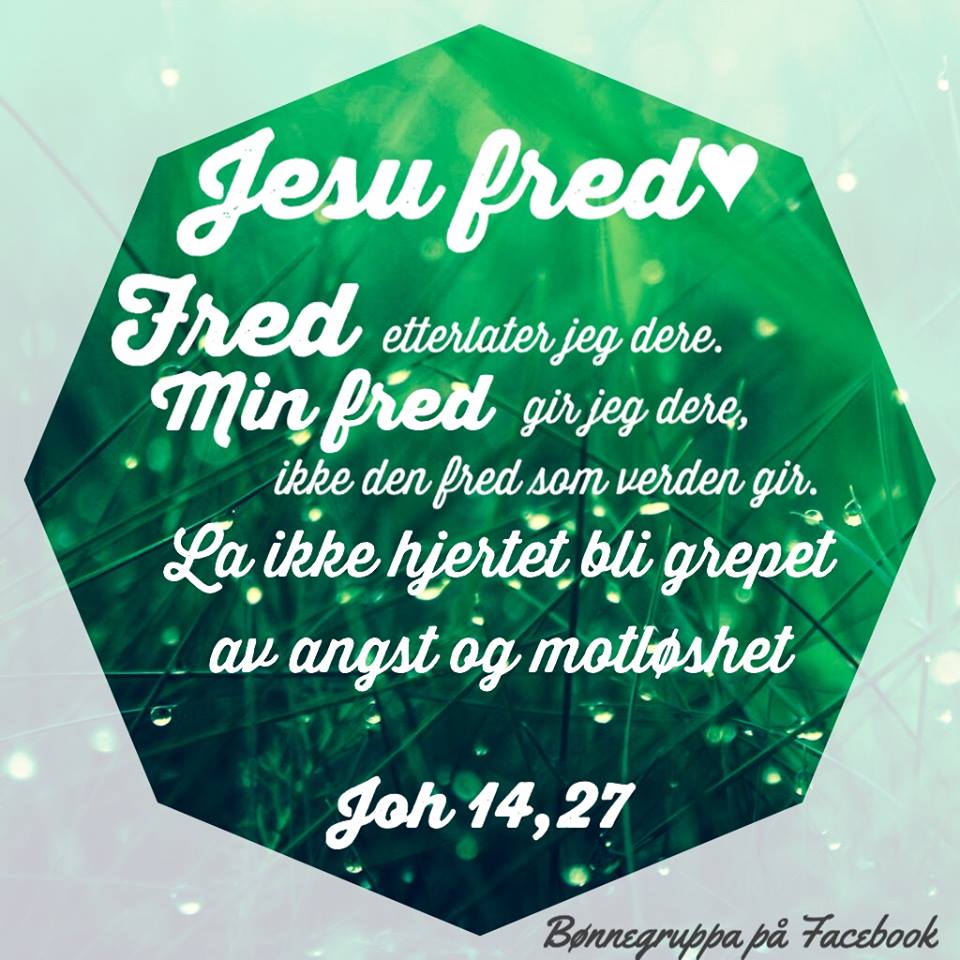 Guds Fred