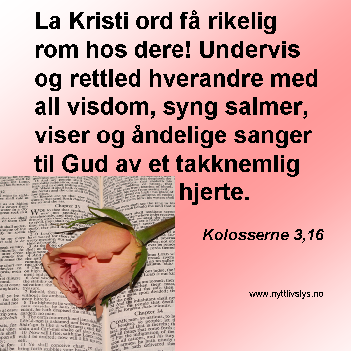 Kol3v16