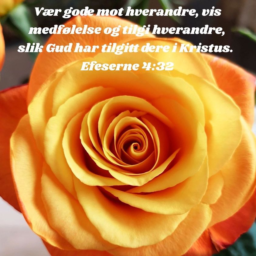 Vaer gode