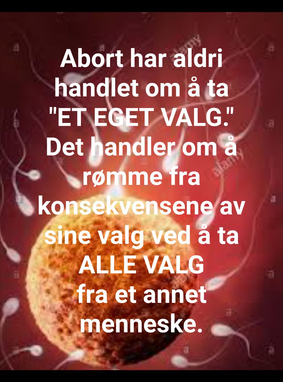 Abort-valg