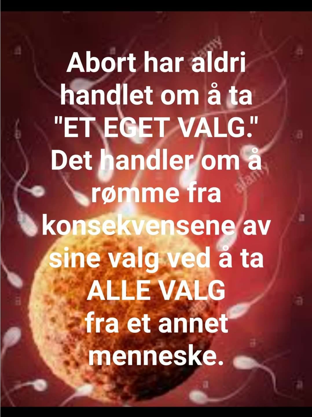 Abort-frata-valg