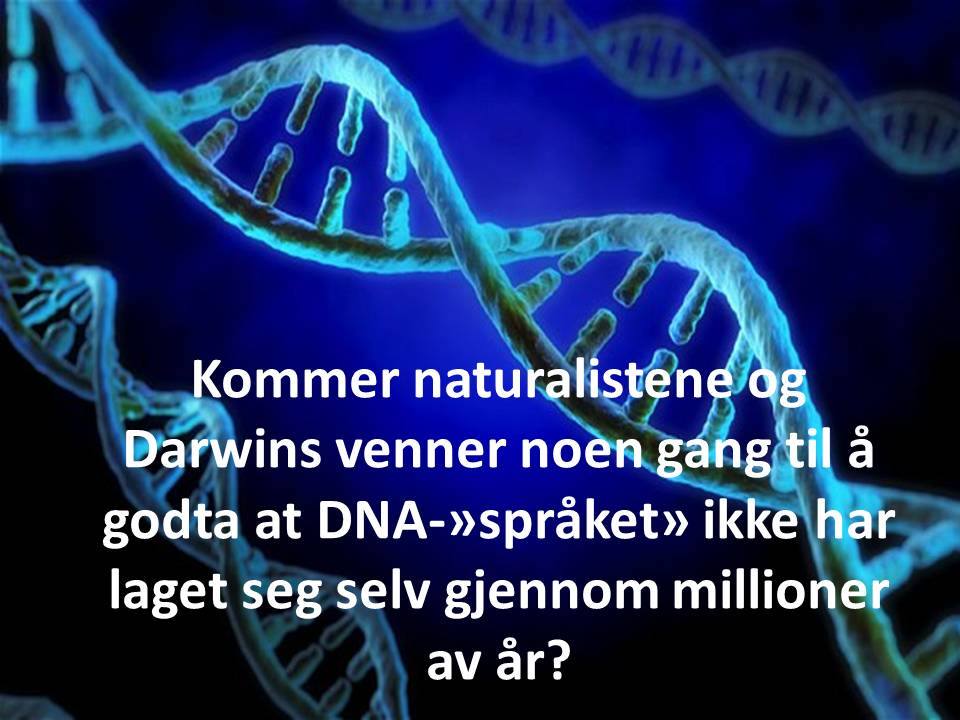 DNA-spraak-Clausen