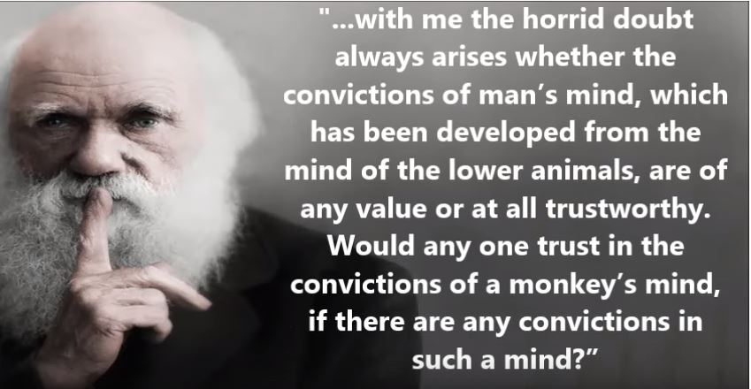 Darwin ape