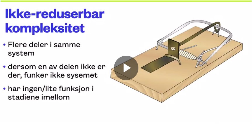 ikke-red