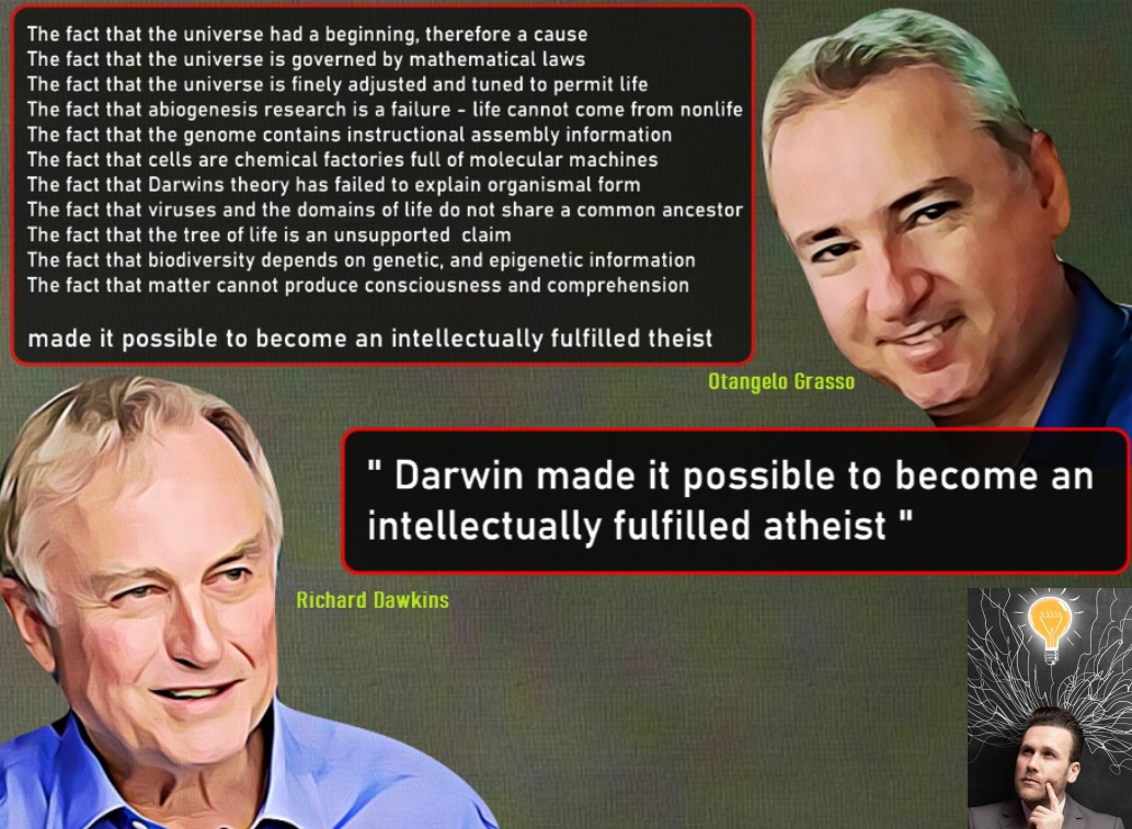 Dawkins-Grasso