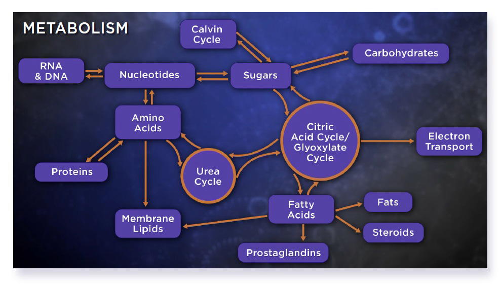 Samvirkende systemer