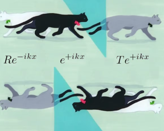Scharodingers-katt