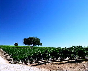 vintre