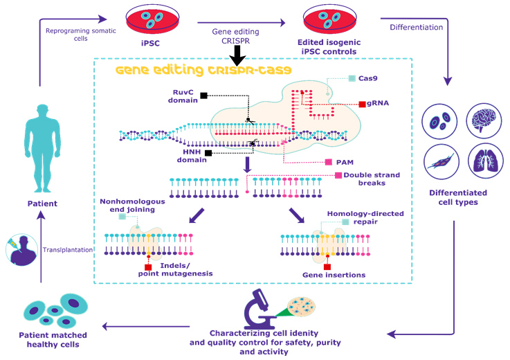 CRISPR