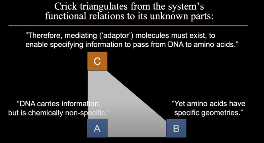 DNA