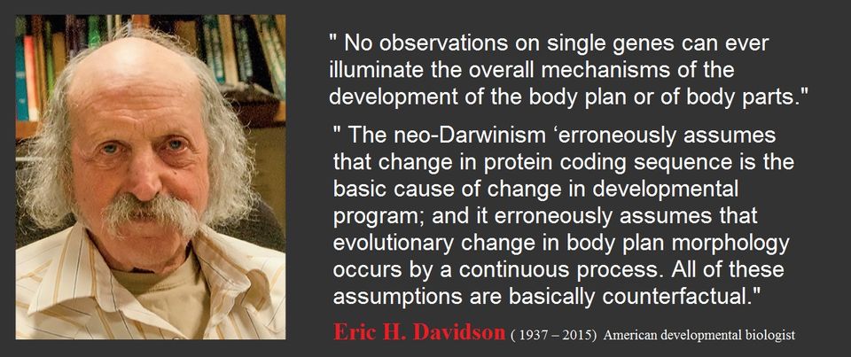 Davidson