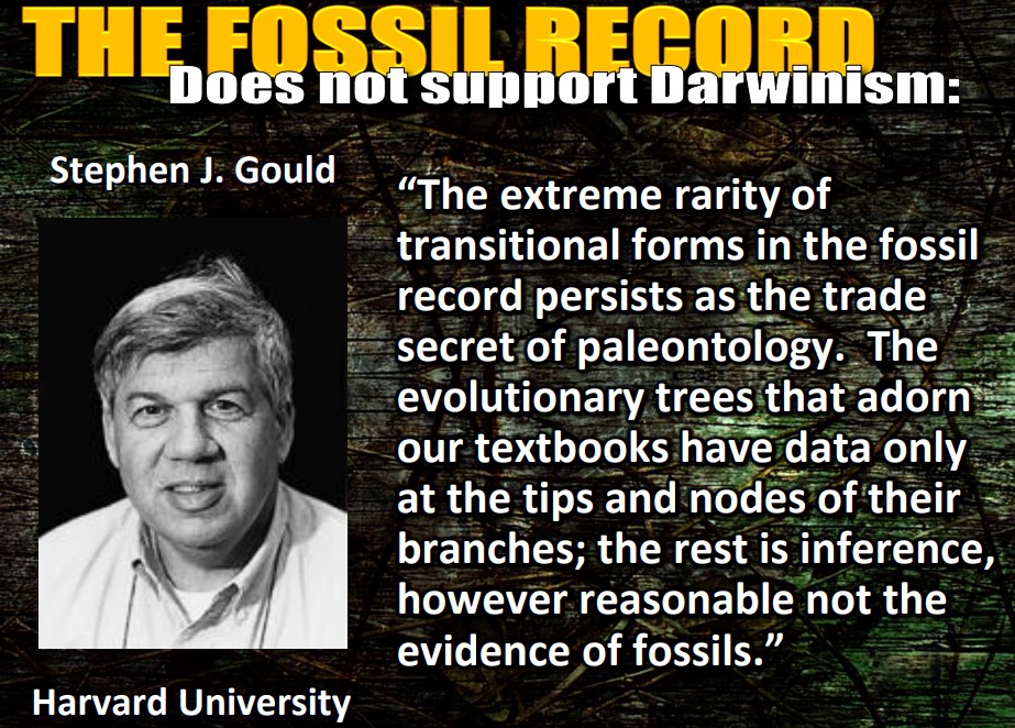 Fossiler