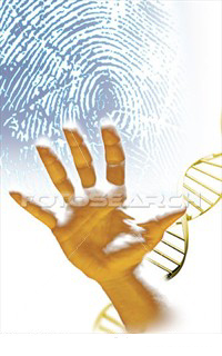 DNA-informasjon