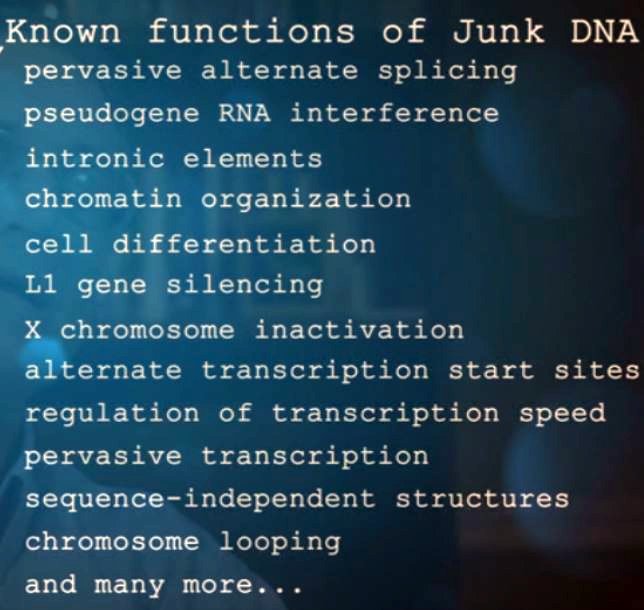 Junk-DNA