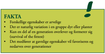 naturlig seleksjon
