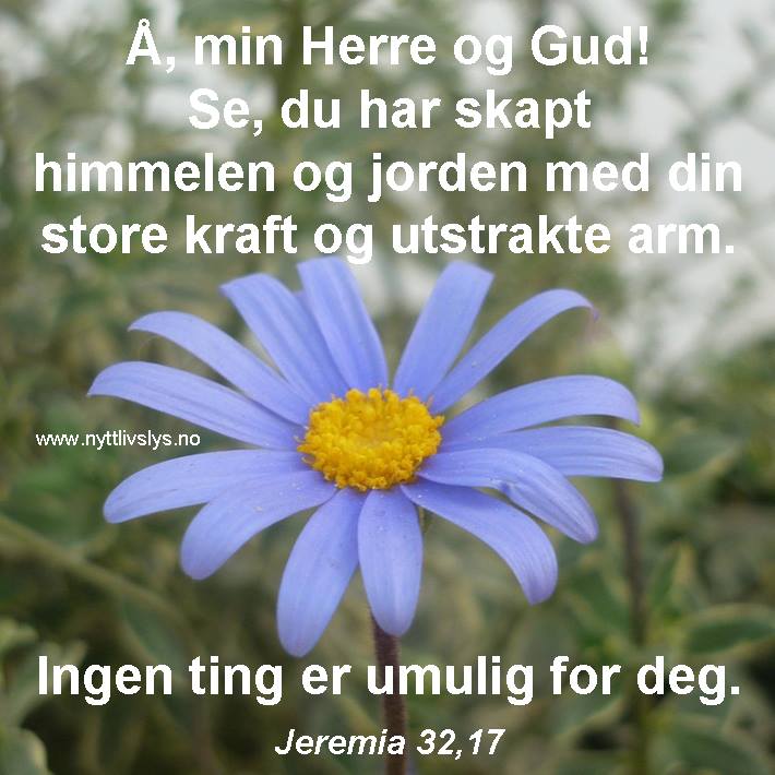 Skapelse