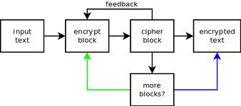 feedback