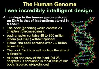 human-genome