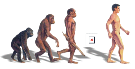missing-link