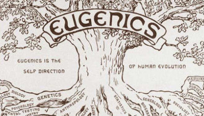 Rasehygiene