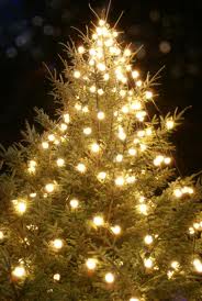Juletre