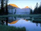 fin natur