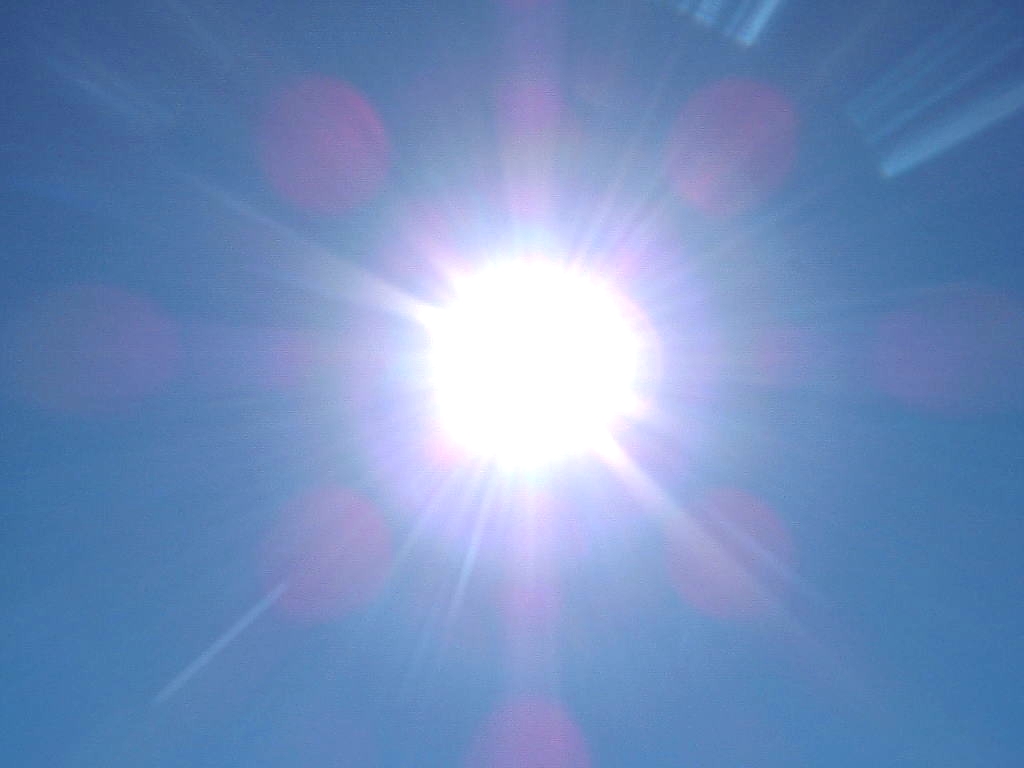 Sola